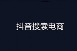 明老师《抖音搜索电商》