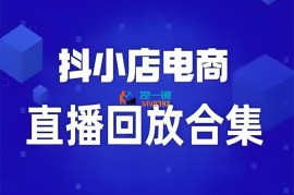 幕思城《抖小店电商直播回放合集》