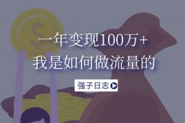 强子《一年变现百万，我是如何做流量的》