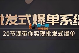 珊珊《批发式爆单陪跑营》