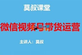 莫叔《微信视频号带货运营》