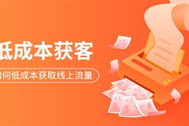 众筹：素宣·三期低成本获客变现营