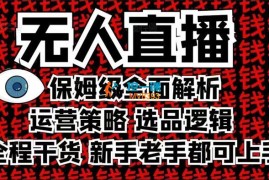 Hank《无人直播保姆级全面解析》