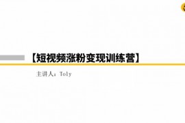 Toly《短视频涨粉变现训练营》