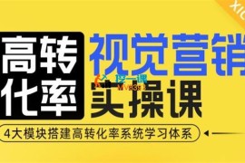 兰心《高转化率视觉营销实操课》