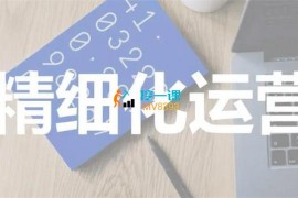 老马《2023直播间全套精细化实战运营》