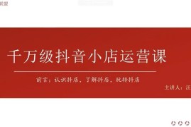 汪汪《千万级抖音小店运营课》