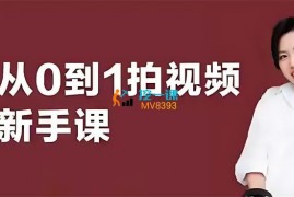 vivi《从0到1拍视频vlog变现课》