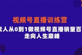 行动派《视频号直播训练营》