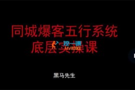 黑马先生《同城爆客五行系统底层实操课》