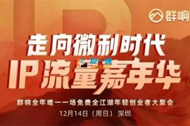 群响《IP流量嘉年华12月14日深圳线下课》