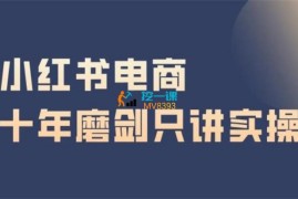 阿本《小红书无货源电商3.0》