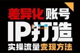 小呆《差异化个人IP打造实操课程》