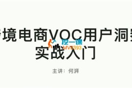 何湃《跨境电商VOC用户洞察实战入门》