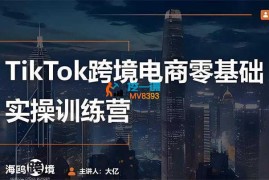 大亿《TilTok跨境电商零基础实操训练营》