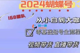 威威《视频号短视频直播带货运营实操课》