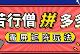 苦行僧：拼多多店铺运营实操开店视频教程