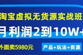 程哥《淘宝虚拟无货源实战班》