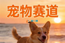 东哥《宠物赛道精选课程》