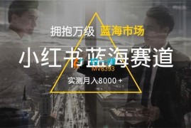 远航《最新小红书蓝海赛道》