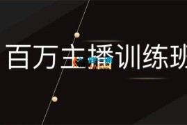 十一郎《百万主播训练班》