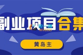 黄岛主《2024年最新副业项目拆解合集》