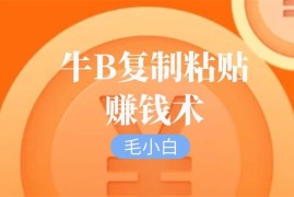 毛小白《牛B复制粘贴赚钱术》