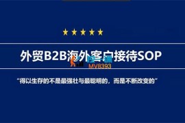 coco《外贸B2B海外客户接待SOP》