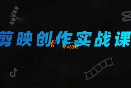 小洲《剪映创作实战课》