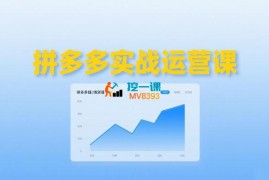 推易《拼多多实战运营课》