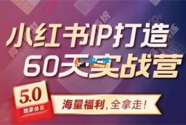 李小月《小红书IP打造60天实战营11期》