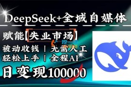 云天《Deepseek+全域自媒体》