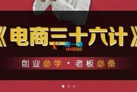 王泽旭《实体电商三十六计》
