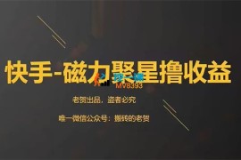 老贺《快手磁力聚星撸收益》