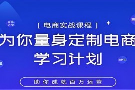 鑫老板《淘宝运营实战宝典》