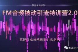 黄岛主《FM音频被动引流特训营2.0》