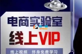 冰可乐《电商实验室线上VIP》