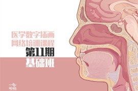 众筹：医学插画网络班第11期基础班