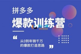 纪主任《拼多多爆款训练营》