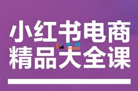 抖影团《小红书电商精品大全课》