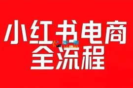 更绪《小红书虚拟搜索电商陪跑实战营2.0》