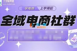 学得起《全域电商社群》