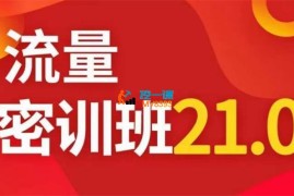 秋秋《线上流量密训班21.0》