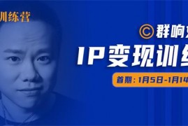 群响《IP变现训练营05期》