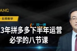 大牙《23年下半年拼多多运营必学的八节课》