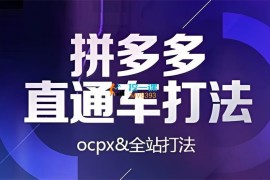 互力《拼多多直通车ocpx&全站打法》