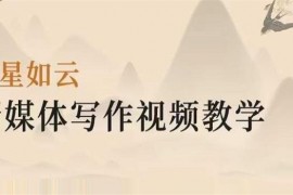 将星如云《新媒体写作视频教学》