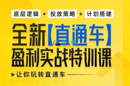 金刚《全新直通车盈利实战特训课》