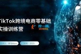 黑马《TikTok跨境电商实操训练营》