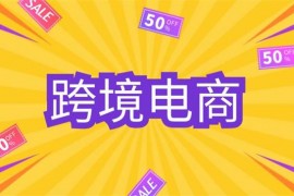 sabrina《跨境电商线上搜索营销》